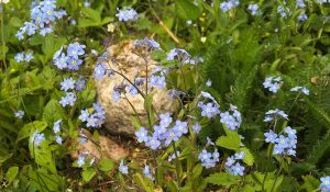 69007099-BADB-4DBA-B6B2-F99E99EDD71C